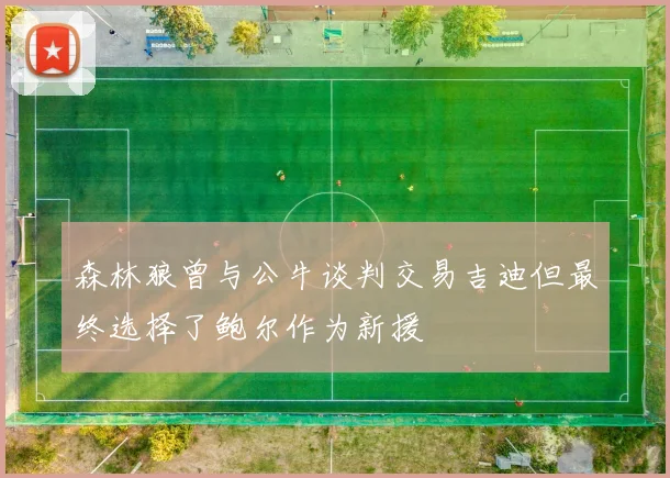 森林狼曾与公牛谈判交易吉迪但最终选择了鲍尔作为新援